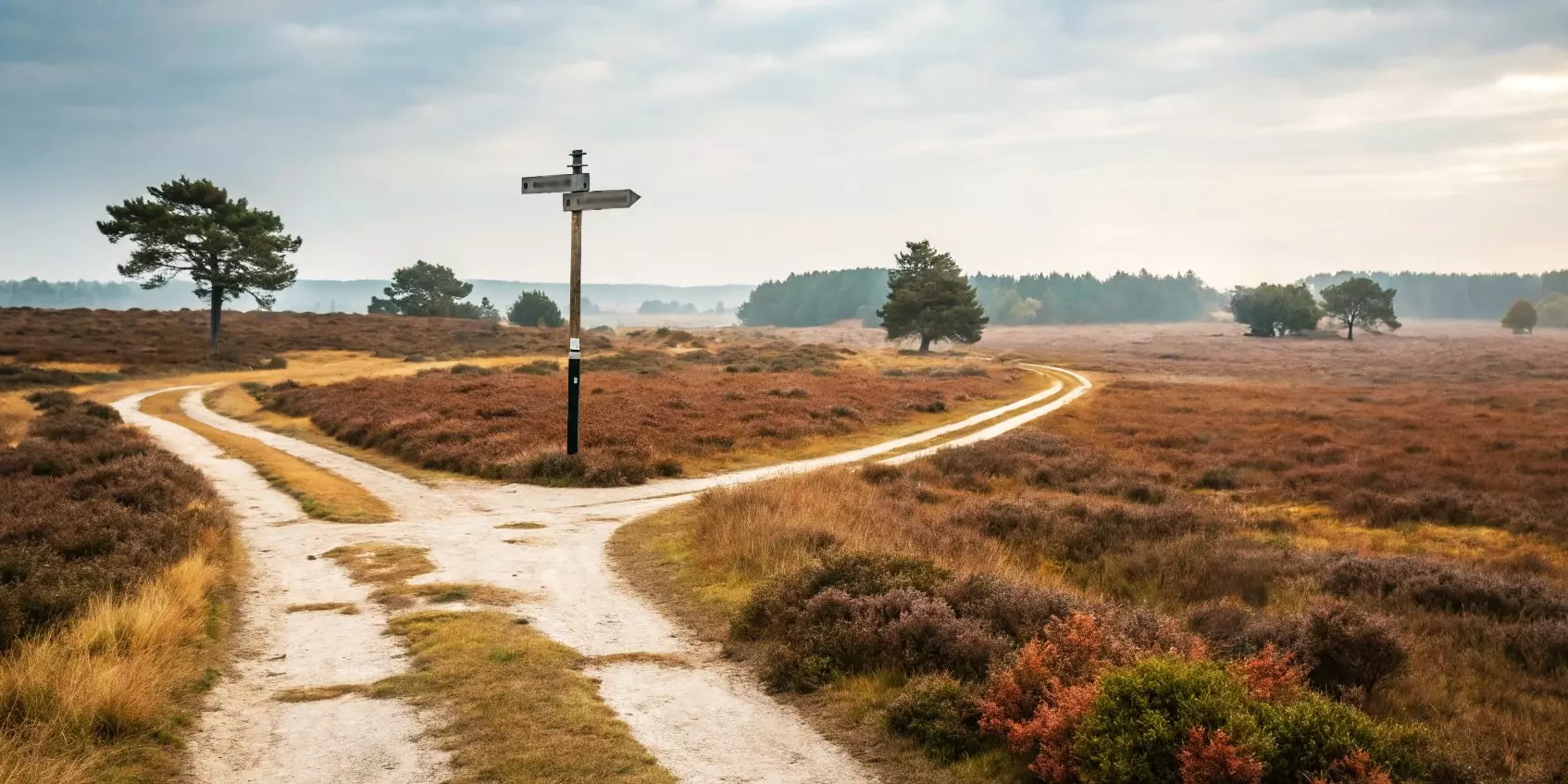 a road that splits into two paths with a signpost indicating different paths available to illustrate the concept of navigating thoughts
