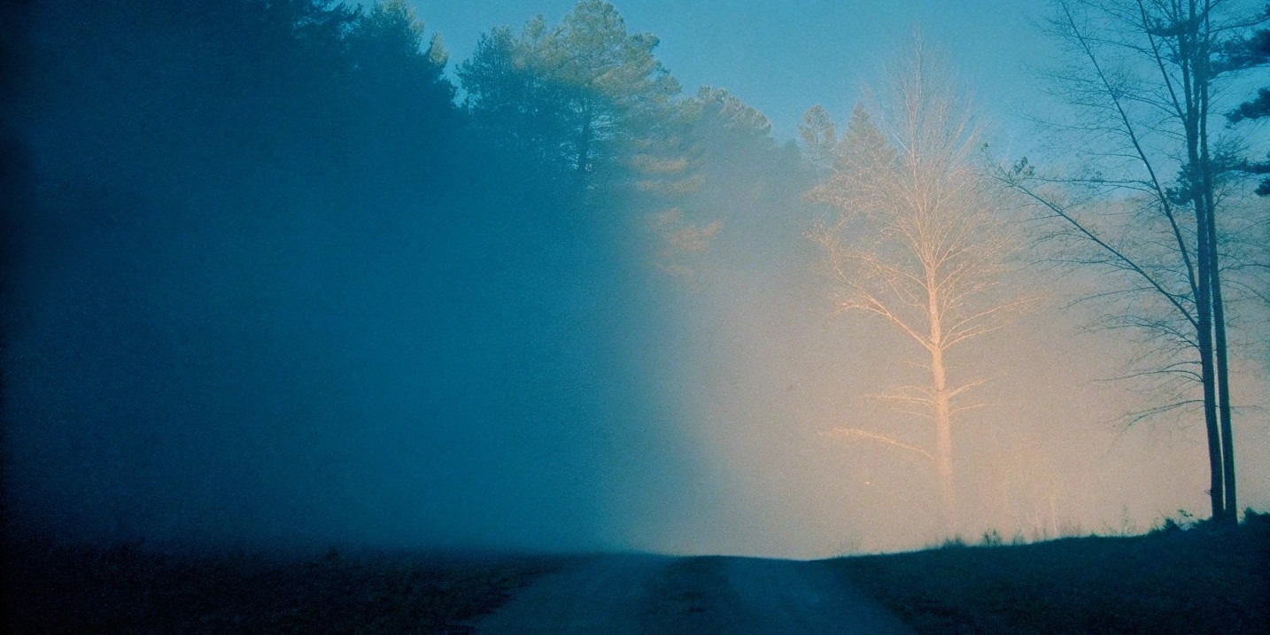 TC_Road_Ahead_wide a path through a dark forest with a light up ahead showing that cognitive behavioural hypnotherapy can lead to change